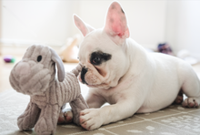 Load image into Gallery viewer, K9 Recovery (First Aid & Hot Spot Ointment) for Dogs