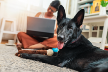 Load image into Gallery viewer, K9 Recovery (First Aid & Hot Spot Ointment) for Dogs