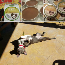 Load image into Gallery viewer, K9 Recovery (First Aid & Hot Spot Ointment) for Dogs