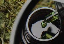 Load image into Gallery viewer, Hemp Seed Salve Base - 55 Gallon, Virgin Organic + Get an Extra 5 Gallons FREE!