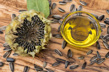 Load image into Gallery viewer, Sunflower Salve Base - 5 Gallon, Organic