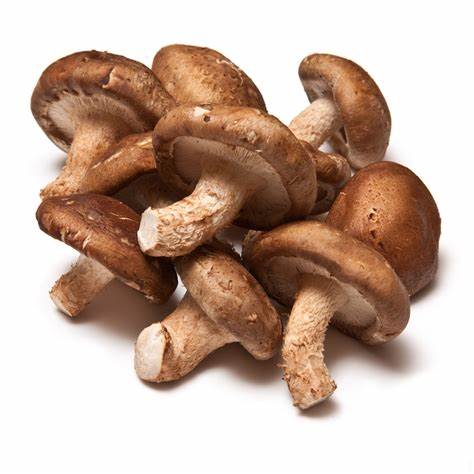 Shiitake Mushroom, Powdered Organic