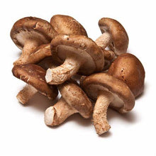 Load image into Gallery viewer, Shiitake Mushroom Extract (Glycerin Tincture), Organic