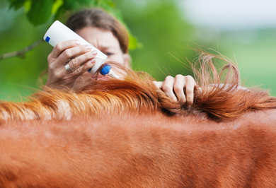 K9 & Equine Dry Skin - Spot Oil Treatment