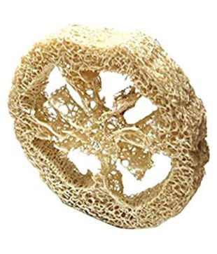 Loofah Rings (Dry)