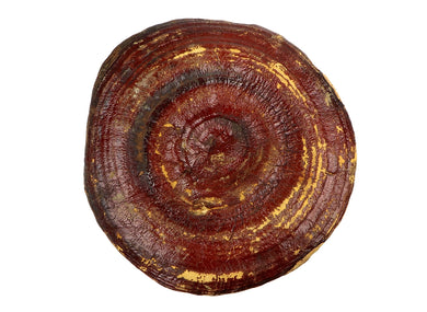 Reishi Mushroom, Powdered Organic