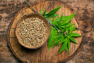 Hemp Seed Salve Base - 1 Gallon, Virgin Organic